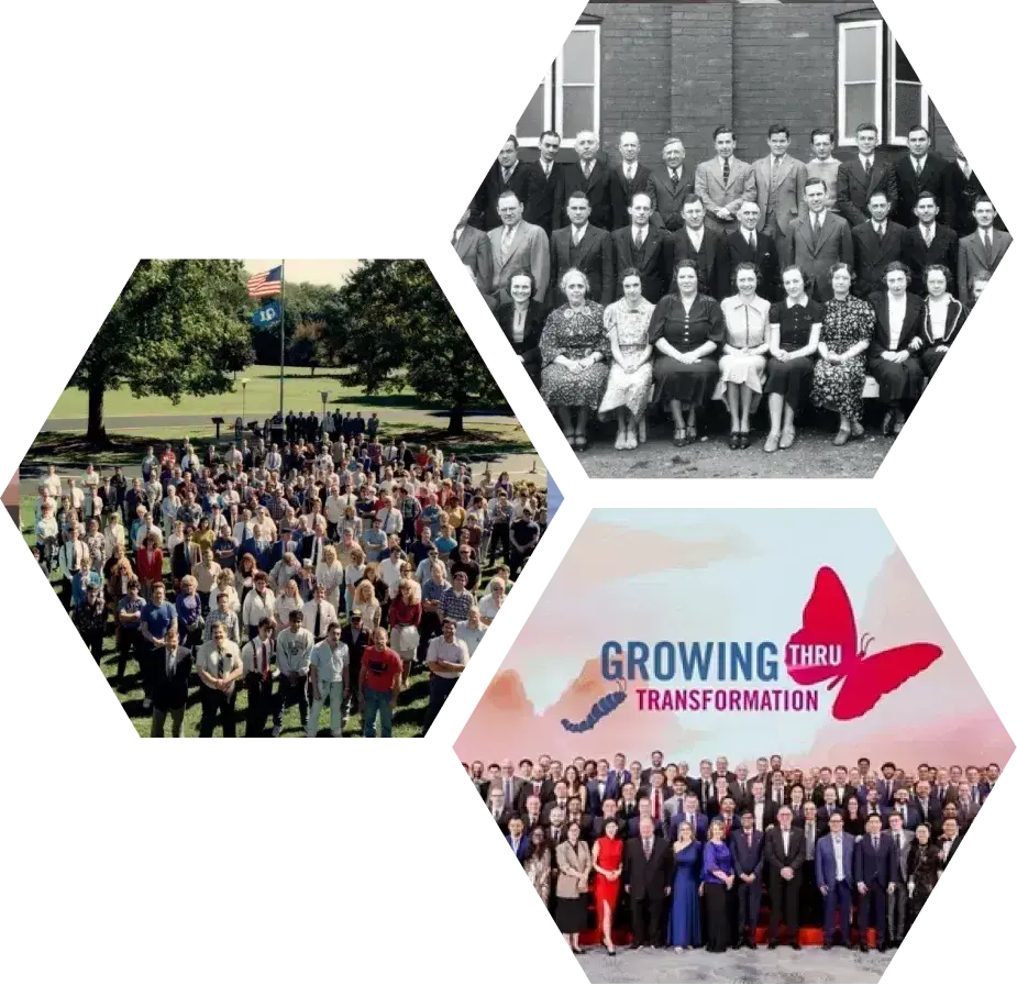 Long Term Growth